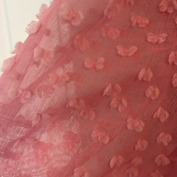 Anthropologie New never worn without tags. XS A bubblegum pink color with sheer - Picture 2 of 4
